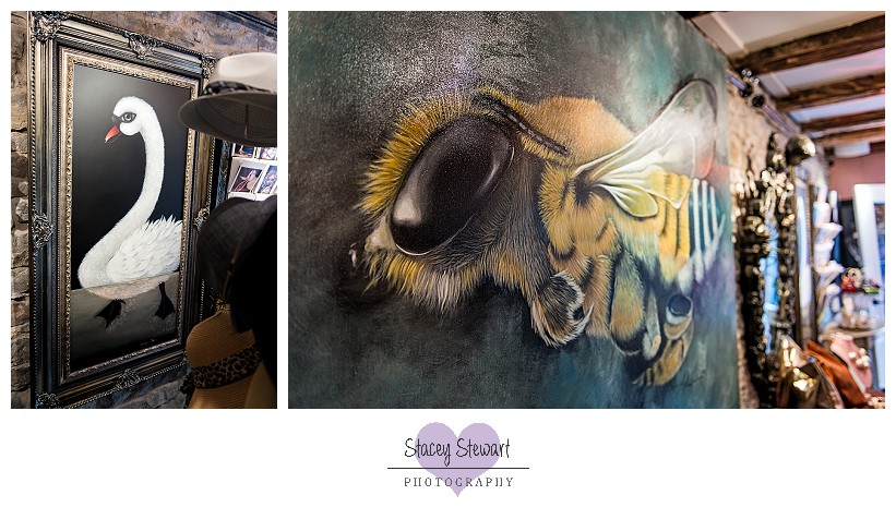 Anarchy gallery by Stacey Stewart Photography