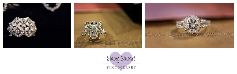 Anarchy gallery by Stacey Stewart Photography