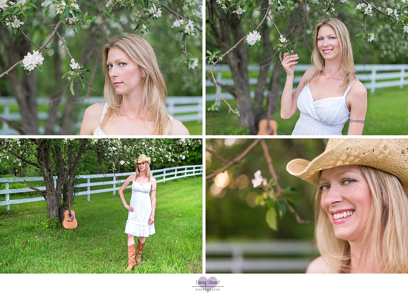 Spring blossoms by Stacey Stewart Photography